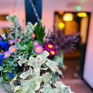 a vase filled with colorful flowers on a table at The New Inn Heckfield in Hook