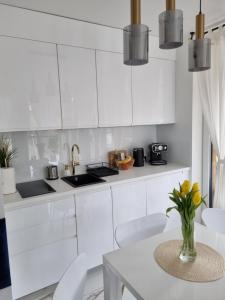 Η κουζίνα ή μικρή κουζίνα στο Apartament DoriSun-Lighthouse Mrzeżyno