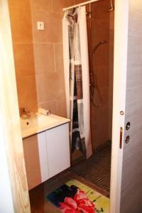 a bathroom with a shower and a sink and a toilet at Ti l'Endormi Villèle Saint Gilles Les Hauts in La Saline