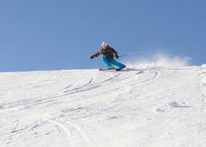 a person is skiing down a snow covered slope at Ferienwohnung Lotti + Hochschwarzwald Card in Titisee-Neustadt