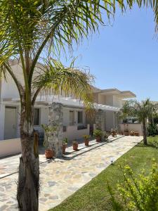 a palm tree in front of a house at Argiri Apartments & Suites in Georgioupolis