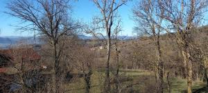 Príroda v okolí apartmánu