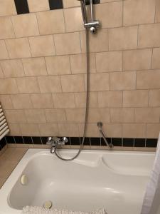 a bath tub with a shower in a bathroom at Schloss Lelkendorf, Fewo Hoppenrade in Lelkendorf