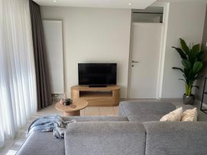salon z kanapą i telewizorem w obiekcie Petit plage Nieuwpoort-Bad w mieście Nieuwpoort