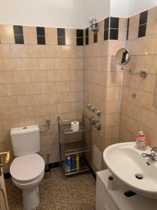 a bathroom with a toilet and a sink at Schloss Lelkendorf, Fewo Hoppenrade in Lelkendorf