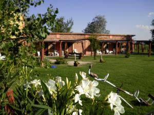 Gallery image of Posada de campo Mamúll Mapú in Rancul