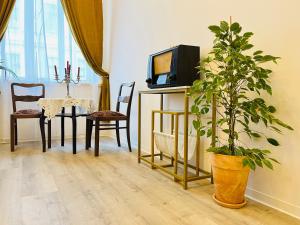 a living room with a tv and a potted plant at FILMAP-Apartments-Zentrale Lage-Boxspringbett-Beamer-Popcorn-gratis Parkplatz in Görlitz