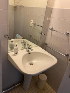 een badkamer met een witte wastafel en een spiegel bij Katty apartment in Brussel