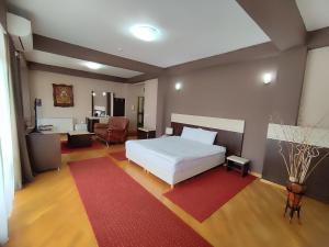 Снимка в галерията на Premier Hotel в Скопие