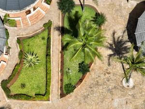 Een tuin van Zula Zanzibar