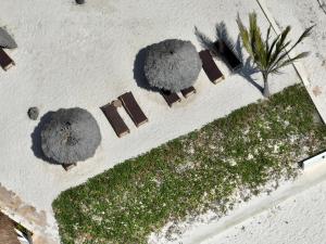 Een tuin van Zula Zanzibar