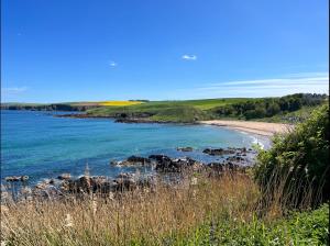 a view of a beach next to the ocean at Romantic luxury Cottage right next to the ocean in Saint Abbs