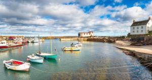 a group of boats are docked in a harbor at Romantic luxury Cottage right next to the ocean in Saint Abbs