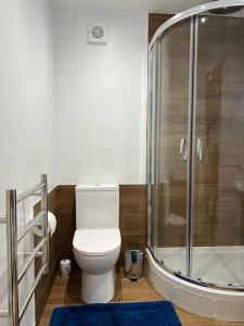 a bathroom with a toilet and a shower at Cosy Detached Annexe With Free Off Street Parking in Milton Keynes