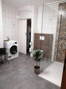 a bathroom with a washing machine and a toilet at Ferienwohnung Klaus in Treis-Karden