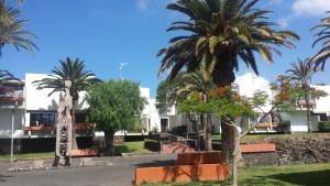 Zahrada ubytování SIMPLE Apartment Frontera Primavera POOL in South TENERIFE