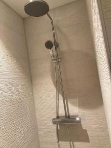 La salle de bains est pourvue d'une douche avec un pommeau de douche. dans l'établissement Westhinder 308, à La Panne