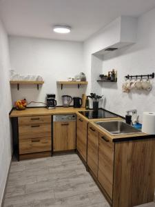 uma cozinha com armários de madeira e um lavatório em Apartament Nova Kamienica - Studio em Łagów