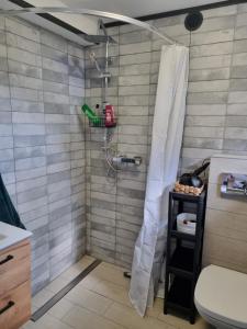 a shower with a shower curtain in a bathroom at Apartament Nova Kamienica - Studio in Łagów