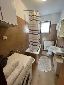 A bathroom at Apartman Bruna 1