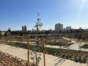 貝爾謝巴的住宿－Lovely New Central Apartment，花园中的树木,城市背景