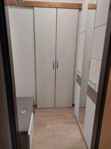 einen begehbaren Kleiderschrank mit weißen Schränken und einer Tür in der Unterkunft Apartmán U dvou slunečnic in Benešov nad Černou