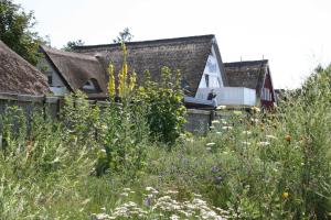 a garden with flowers in front of a house at Am Strand in Wustrow