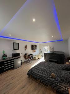 ein Schlafzimmer mit einem großen Bett mit blauer Decke in der Unterkunft Loft Spa Led & bo in Thaon-les-Vosges