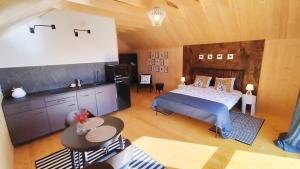 a large bedroom with a bed and a kitchen at Dzikie Lisko - Apartament z klimatyzacją in Lesko