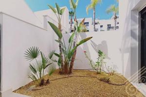 Fotografie z fotogalerie ubytování Precioso apartamento en Macenas v destinaci Mojácar