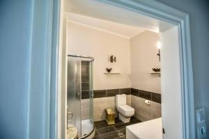 W łazience znajduje się toaleta i przeszklony prysznic. w obiekcie Vasiliki's Villa Beach Front and Pool w mieście Porto Heli