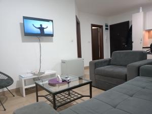 TV in/ali zabaviščno središče v nastanitvi Spasić