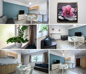 a collage of photos of a living room and dining room at Studio Mandoria in Łódź