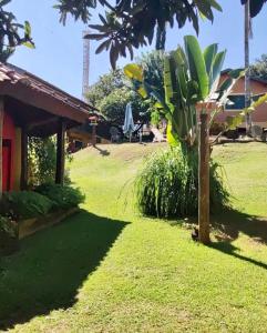 een tuin met een palmboom en een huis bij Hotel Chalés Gramado in Águas de Santa Barbara