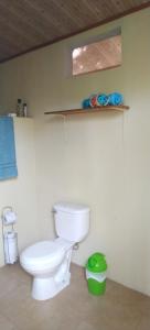 ein Badezimmer mit einem weißen WC und einem grünen Mülleimer in der Unterkunft Cabinas fave in Uvita