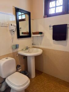 a bathroom with a white toilet and a sink at Lakeside Garden Bungalow 湖畔花园山居 in Nuwara Eliya