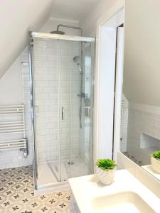 a shower stall in a bathroom with a sink at Morski Zakątek Kołobrzeg - Dom z ogrodem na wyłączność in Kołobrzeg