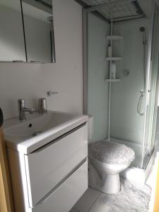 a bathroom with a toilet and a sink and a shower at Warm and Cosy in Nevers