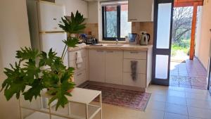 a kitchen with white cabinets and a plant in the foreground at פינה ללב in Rosh Pinna
