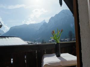 a vase on a table with a view of a mountain at Gästehaus München in Schönau am Königssee