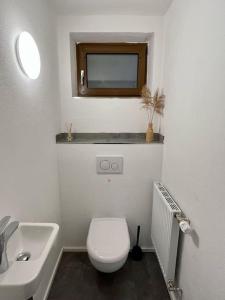 een badkamer met een wit toilet en een wastafel bij Wohnglück Seifferer in Ravensburg