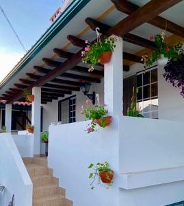 a white house with potted plants on the wall at Casa de Azzancha in Azinhaga