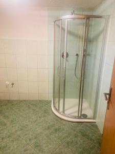 y baño con ducha y mampara de cristal. en Apartmánový dům Velké Losiny, en Velké Losiny