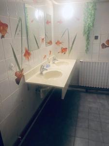 a bathroom with a sink and a mirror at Apartmánový dům Velké Losiny in Velké Losiny