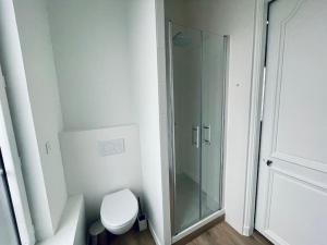 La salle de bains est pourvue de toilettes et d'une douche en verre. dans l'établissement Maison Gabriel Appartement PLUME, à Abbeville