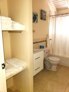 a small bathroom with a toilet and a shower at Hillside Retreat in Gated Community Close to Beach in Montego Bay