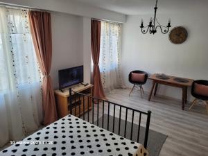 a room with a bed and a television and a table at Neptun Victoriei Central Studio Ploiești in Ploieşti