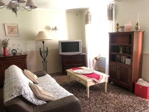 ein Wohnzimmer mit einem Sofa und einem TV in der Unterkunft La Glycine in La Canourgue