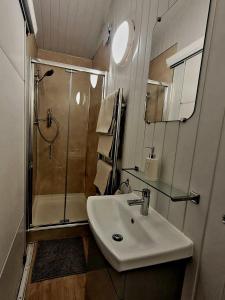 ein Bad mit einem Waschbecken und einer Dusche in der Unterkunft The Cabin at Forestview Farm in Greenisland