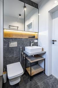 a bathroom with a sink and a toilet at New designer apartments in Lviv